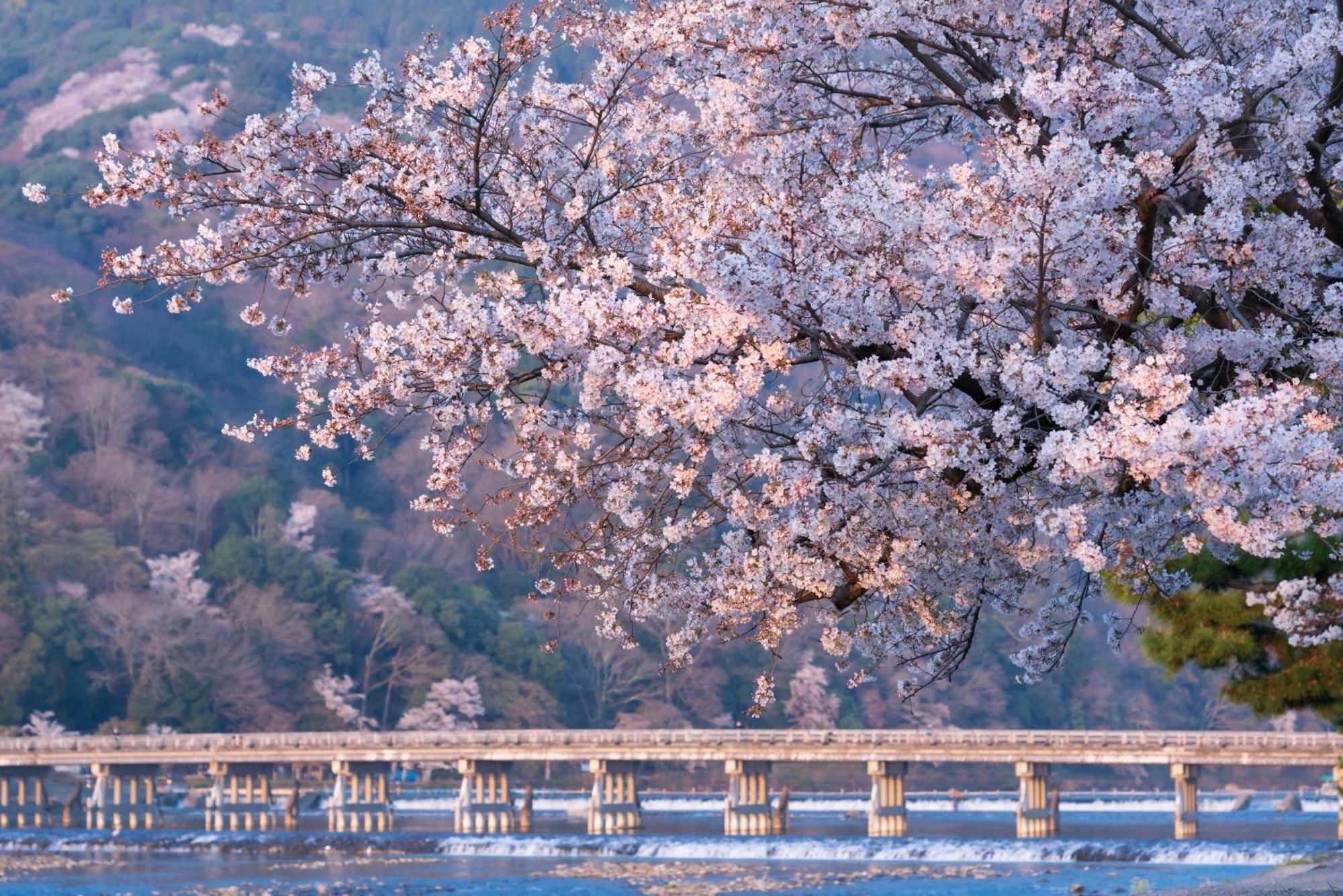 Tokyu Stay Kyoto Sakaiza Shijo Kawaramachi Dış mekan fotoğraf