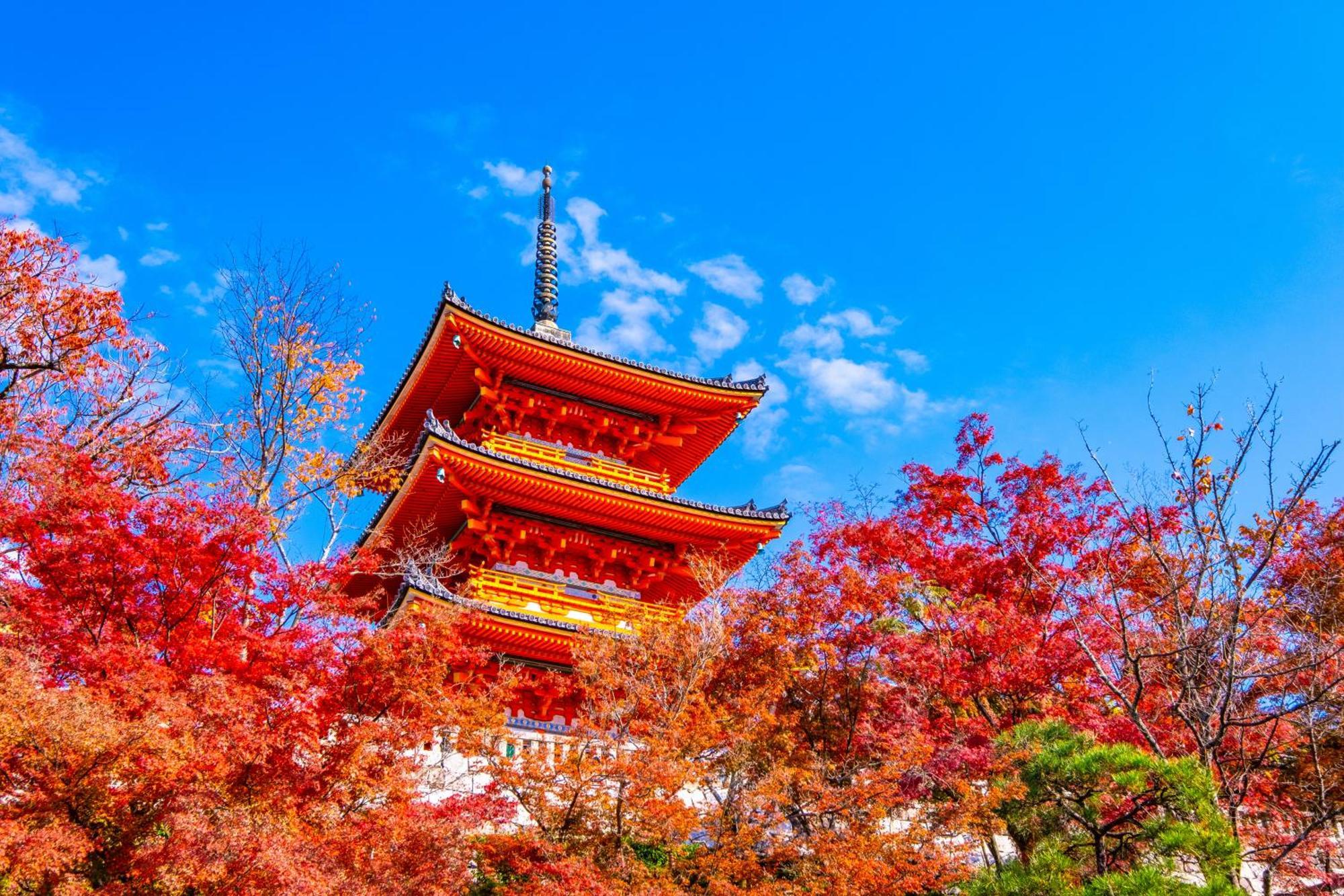 Tokyu Stay Kyoto Sakaiza Shijo Kawaramachi Dış mekan fotoğraf
